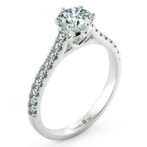 Nhẫn cầu hôn vàng trắng Cathedral hearty NCH1505